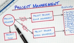 Program & Project Management